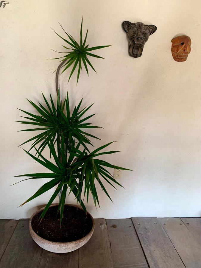 Lo Nuestro Petit Hotel Tulum Dış mekan fotoğraf